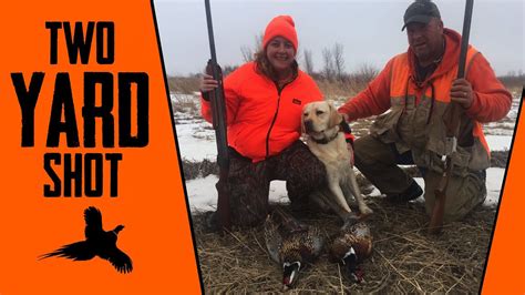 Pheasant Hunt In Minnesota Youtube