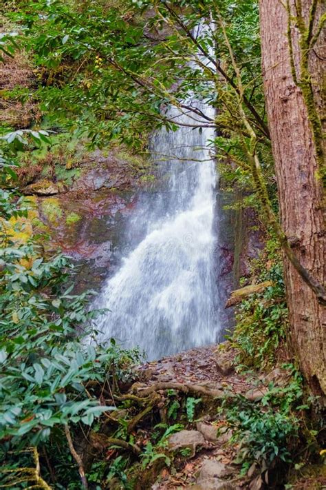 Beautiful Waterfall In The Green Forest Stock Photo Image Of