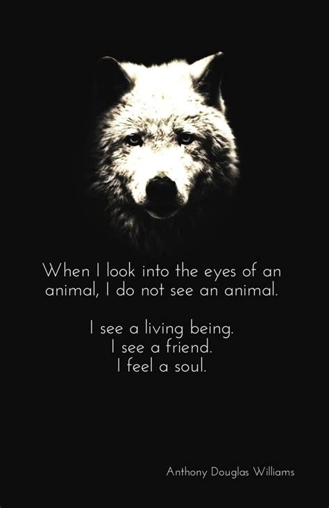 Make Your Own Photo About When I Look Into The Eyes Of An Animal Do
