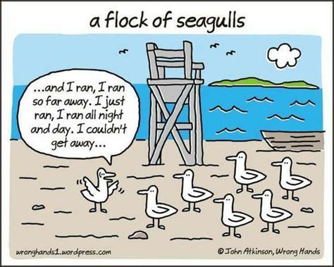 I Ran A Flock Of Seagulls Song Memes Song Quotes Music Quotes Funny Quotes Funny Memes