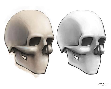 Just A Simple Skull Study Rsketches