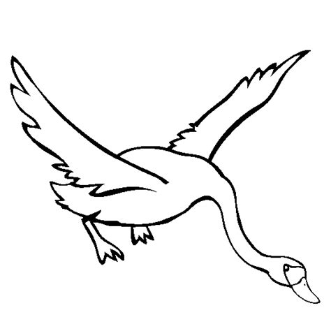 Swan Flying Coloring Page Free Printable Coloring Pages