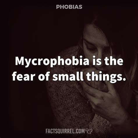 Mycrophobia Is The Fear Of Small Things Factsquirrel