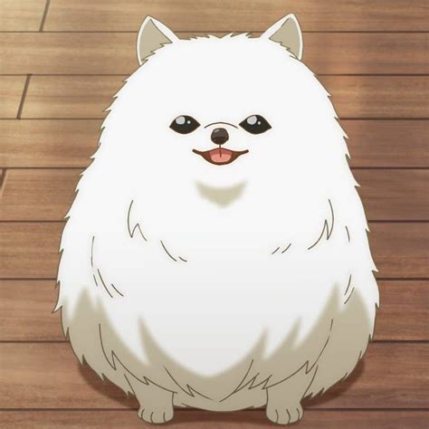 Tama Is One Kind Of Dog I Want To Adopt 😗💕 Anime Anime Kawaii