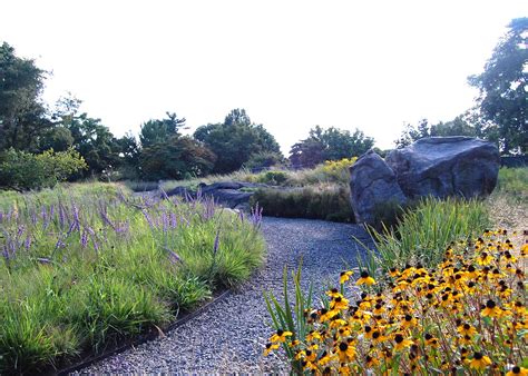 The Native Plant Garden Ny Ovs Landscape Architecture