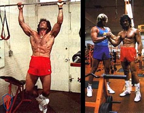 Sylvester Stallone Sallones Workout Stallones Diet Sylvester