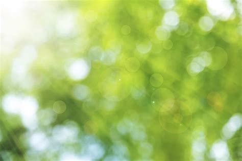 Natural green spring with sunlight bokeh background - ABD