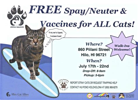 Every cat will receive a free cursory physical exam prior to being vaccinated. Free Cat Spay And Neuter Clinic Near Me - CatWalls