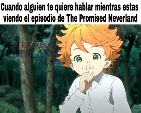 Meme The Promised Neverland Neverland Memes Anime Memes
