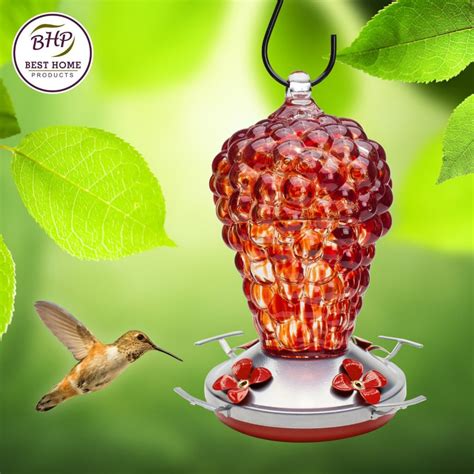 Blown Glass Hummingbird Feeder Wild Raspberry Best Home Products