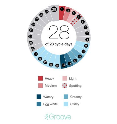 Menstrual Cycle Discharge After Ovulation If Pregnant Why I Cant Get