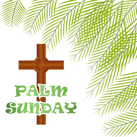 Palm Sunday Vector Hd Png Images Beautiful Palm Sunday Vector Design