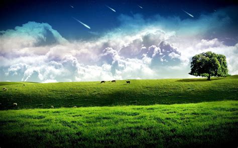 Green Pastures Wallpapers Top Free Green Pastures Backgrounds