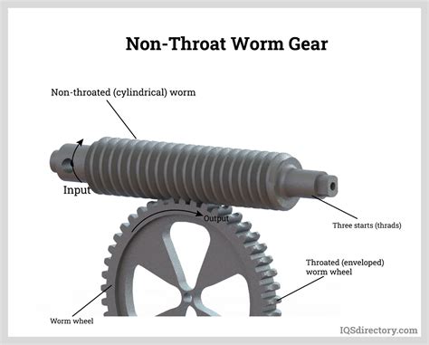 Worm Gear What Is It How Is It Made Types Of Uses Vlrengbr