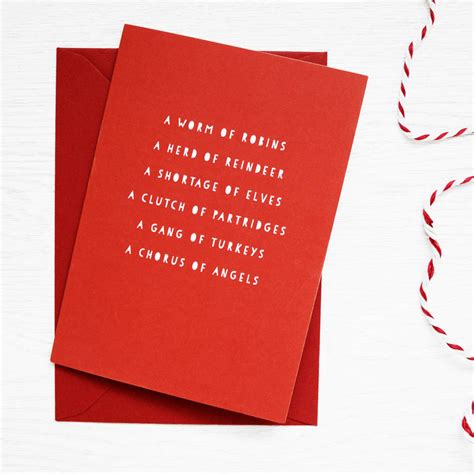 Christmas Collective Nouns Card Packs By Newton And The Apple