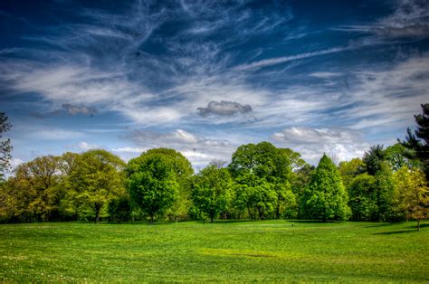 Midwest Field With Trees Arsenal Direct Marketing