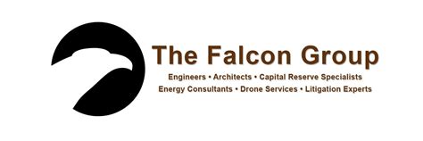 The Falcon Group Logos And Brand Assets Brandfetch