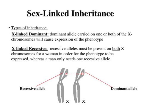😀 Sex Linked Inheritance In Man Useful Notes On Sex 2019 02 05