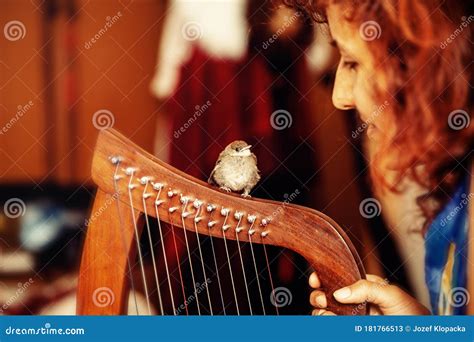 Young Woman Playing Celtic Harp And Small Bird Stock Image Image Of