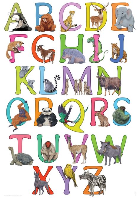Animal Alphabet Poster A2 Etsy