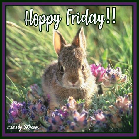Hoppy Friday Bunny In Flowers Funny Animals Happy Friday Have A