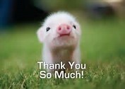 Image result for Animal thankyou