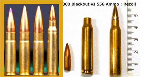 300 Blackout Vs 5 56 Ammo Which Caliber Is Better