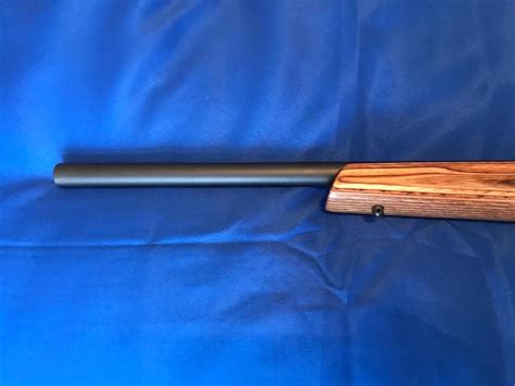 Remington Model 597 17 Hmr Semi Auto Rifle 17 Hmr 17121390