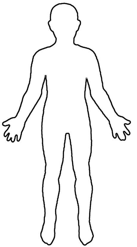 Free female body outline vector download in ai, svg, eps and cdr. Figure outline | Body outline, Body template, Human body ...