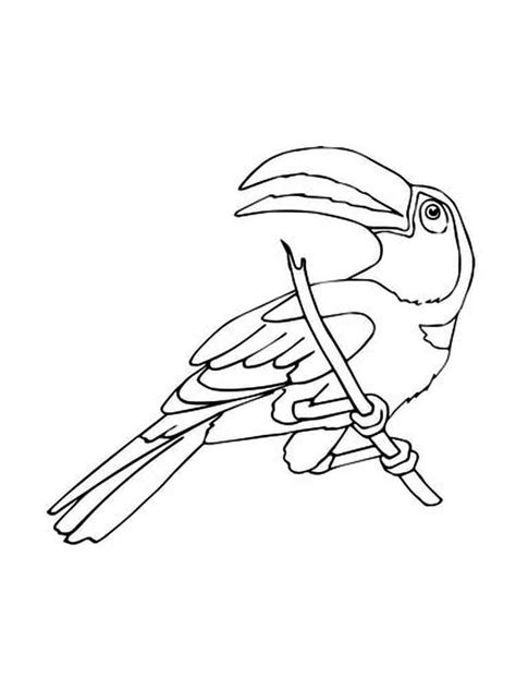 You will need a pdf reader to view these files. Toucan coloring pages. Download and print Toucan coloring ...