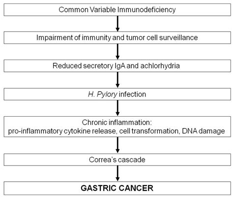 Ijms Free Full Text Common Variable Immunodeficiency And Gastric