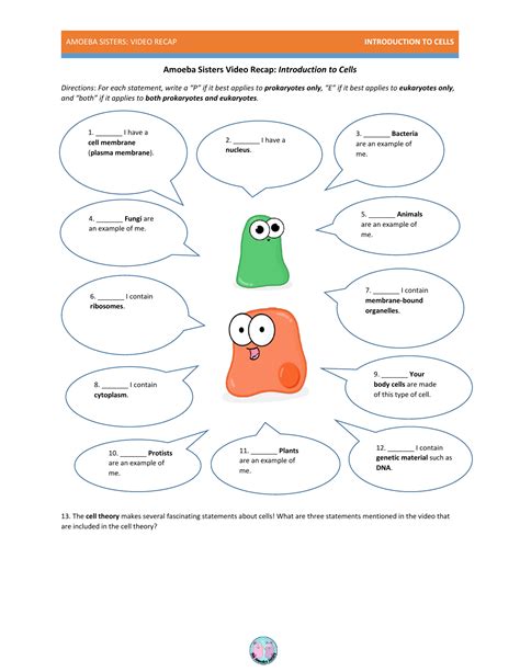 Live worksheets > english > science > cells > amoeba sisters prokaryotic v eukaryotic cells recap. The Amoeba Sisters The Cell Cycle And Cancer Video ...