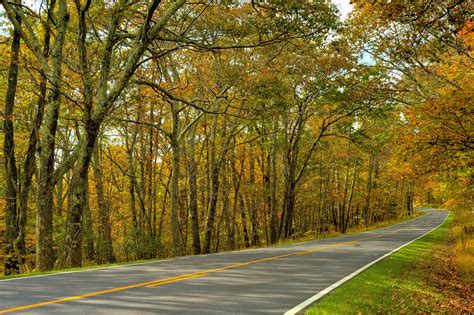 Autumn Trees Road Landscape Wallpaper 4247x2831 210235 Wallpaperup