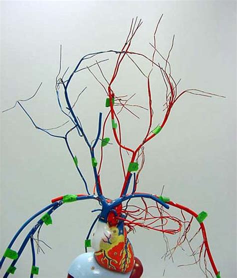 Wire Models