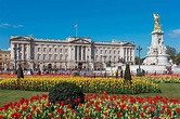 Guía turismo Palacio Buckingham: Ver el Cambio de guardia Londres