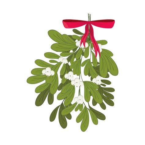 ᐈ Mistletoe Stock Illustrations Royalty Free Mistletoe Clip Art