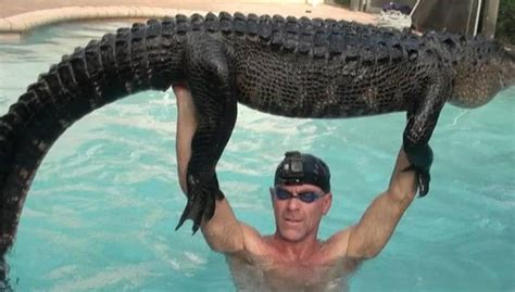 Man Swims With Alligator To Tire It Out Catches It With Bare Hands See Pics Trending