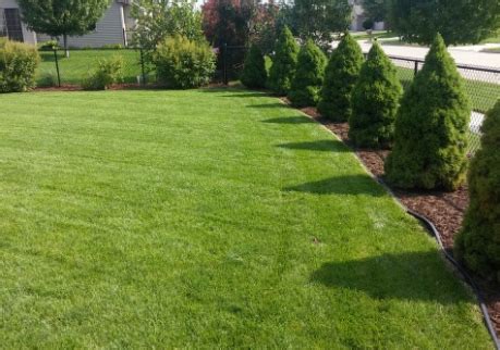 Animals, history, traveling and more. Lawn Mowing Services | Scott's Exterior Maintenance