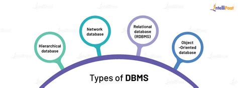 What Is Dbms An Introduction To Database Management System Laptrinhx