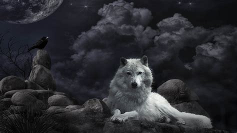 See more beautiful wolf wallpapers, awesome wolf wallpapers, pretty wolf wallpaper looking for the best wolf wallpaper? Cool Anime Wolf Wallpapers (56+ images)