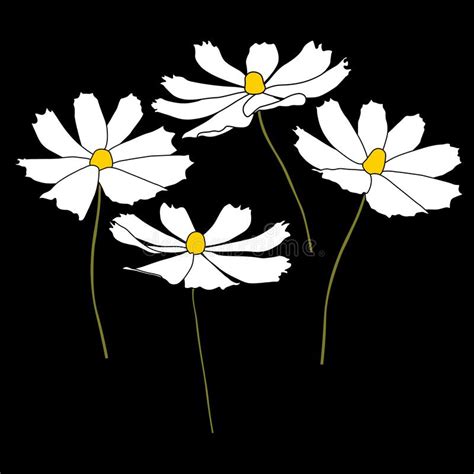 Set Of Cosmos Flower Branch Vector Simple Illustration Isolated On