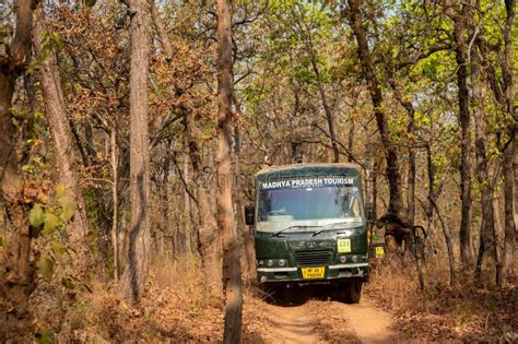 Bandhavgarh National Park Madhya Pradesh India April