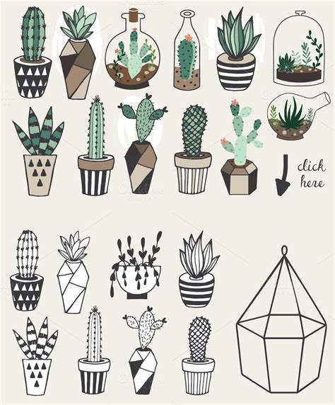 Download Cactus Illustration Vector Succulent And Cacti Hand Drawn Set