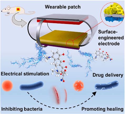 Teng Mediated Infected Wound Healing 118 Download Scientific Diagram