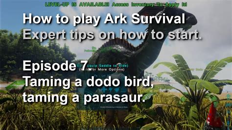 Ark Survival Evolved For Beginners How To Tame Dinosaurs Youtube