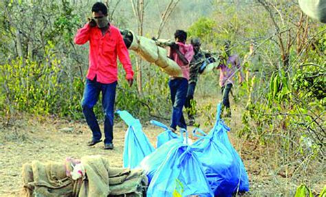 Red Sanders Smuggling Cases Go Undetected In Ap