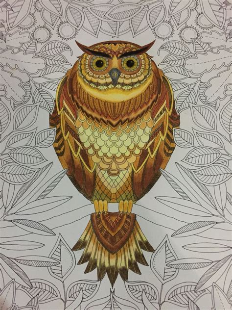 Fun with a little night scene in the secret garden coloring book. The Owl using Colleen60 | Secret garden coloring book ...