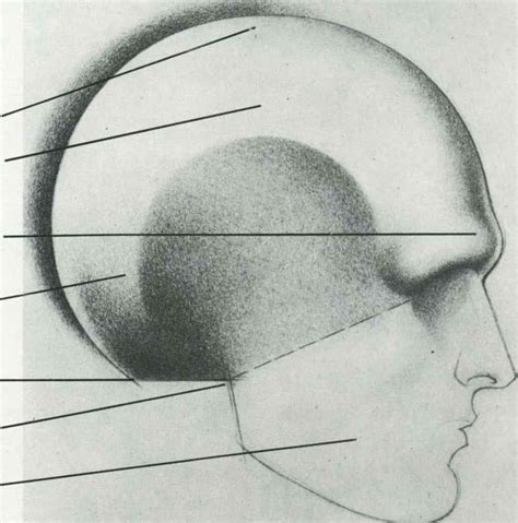 Cranial Mass Drawing The Human Head Joshua Nava Arts