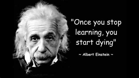 Albert Einstein Albert Einstein Quotes Hd Wallpaper P