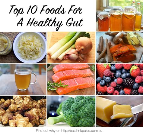 Top Healthy Gut Foods For Health Wellbeing